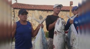 PESCADORES MOSTRAM PEIXES DE GRANDE PORTE CAPTURADOS NO MAR